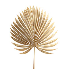 Gold palm leaf png