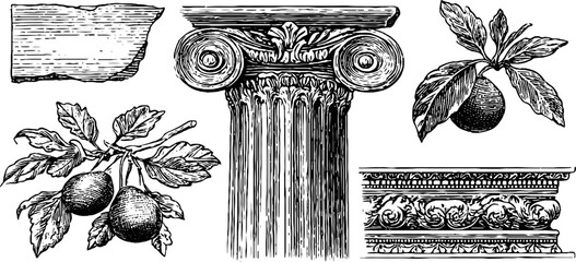 Ancient relief and inscriptions with classical column and ornamental details for historical design