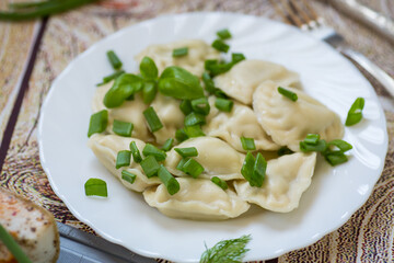 Hot dumplings in a plate with onions on a dark background