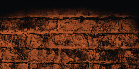 Reddish-brown-scale image of a building exterior, highlighting intricate patterns and shadows cast on its textured walls with a gradient.
