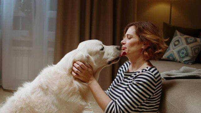 Golden retriever licking woman face as emotional support in cozy home setting