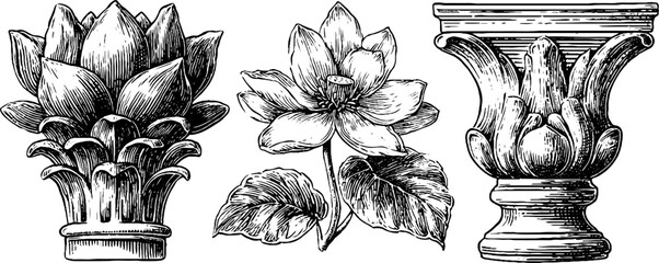 Egyptian lotus capital and art nouveau designs for decorative architecture and nature theme