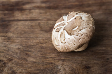 Fresh Shiitake Mushroom on wood table