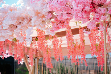 Pink Floral Canopy on a Stage - Cherry Blossom 