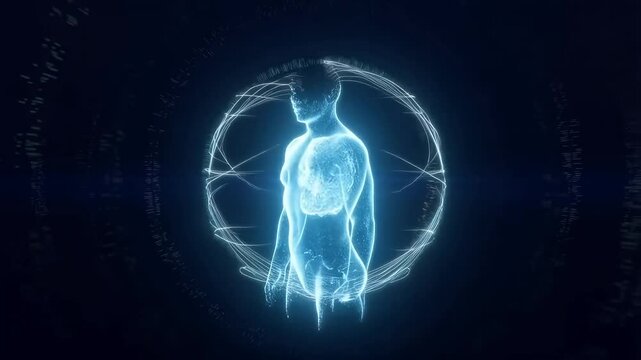 morphogenesis and embryogenesis issues. Questions about formation of human body.
