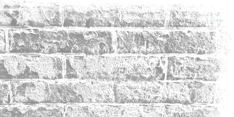 Abstract close-up of a damaged wall, highlighting the beauty found in imperfections and entropy.
