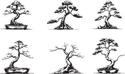 Decorative Bonsai Set. Hand drawn vector illustration