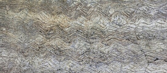 Abstract Wavy Lines Engraved on Textured Concrete
