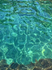 Turquoise transparent sea water with underwater seaweed.
