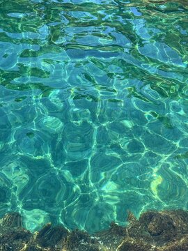 Turquoise transparent sea water with underwater seaweed.