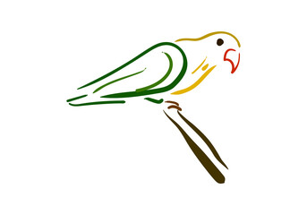 minimalist and artistic line art illustration lovebird