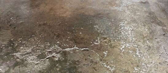 Distressed Concrete Surface with Efflorescence and Cracks
