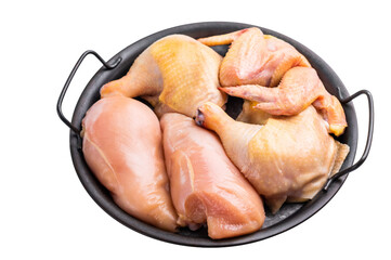 Raw chicken eco farm meat breast wing leg