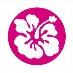 LOGOS SIGNOS LOGOTIPOS ISOTIPOS MARACA GRÁFICA HIBISCUS FLOR FLORES