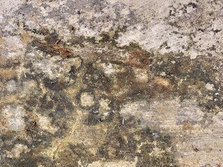 Heavily Stained and Mossy Concrete Surface Texture