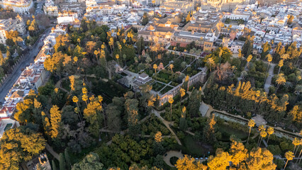 Naklejka premium Aerial View of a Lush Garden from the Real Alcazar in an Urban Setting