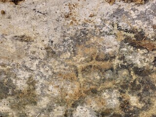 Heavily Stained and Textured Concrete Surface