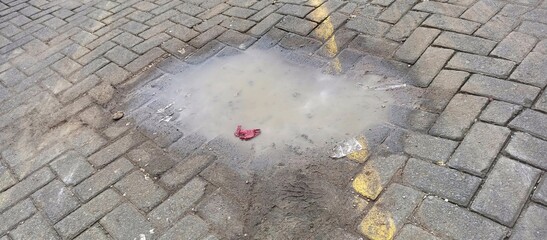 Muddy Puddle on Grey Brick Pavement After Rain