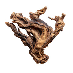 Intricate Driftwood Sculpture Nature Art Piece,