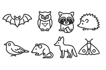 Nocturnal Animal Icons. Line style icons of nocturnal animals: bat, owl, raccoon, hedgehog. nightjar, opossum, fox, moth. No text,