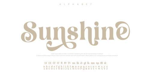 Beauty Luxury font alphabet logo. Typography beautiful fashion elegant classic letters serif italic fonts decorative wedding vintage retro logos. vector illustration