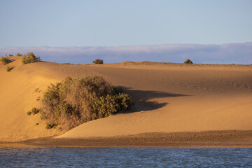 Seascape and dunes at Faro de Maspalomas on Gran Canaria, Spain