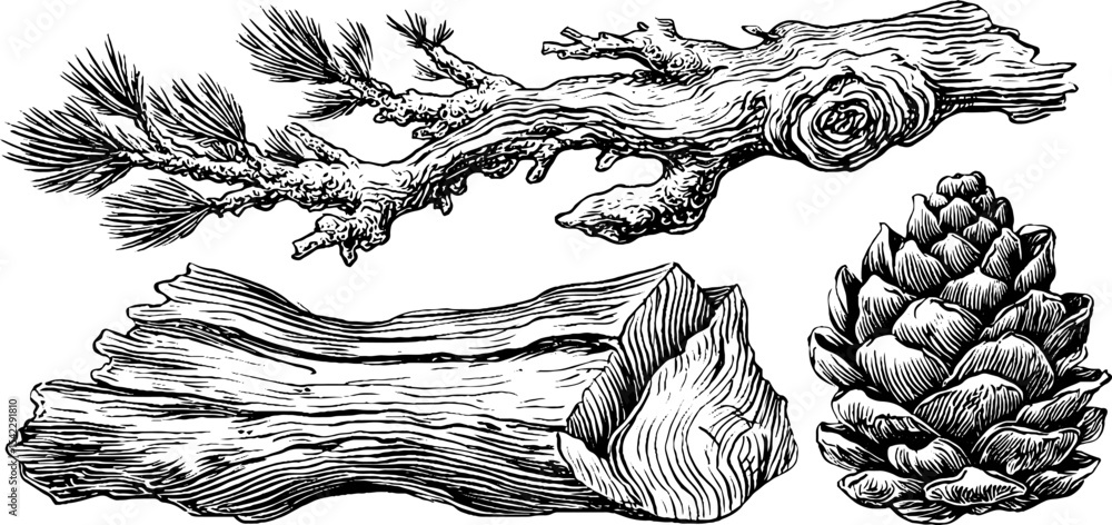 Poster elegant twisted pine branches and layered bark texture for natural design concepts