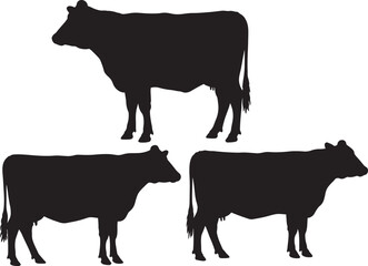Cow farm animal standing shape vector illustration
