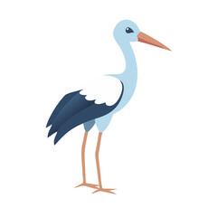 white stork on white background