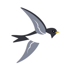vector illustration of a bird swallow