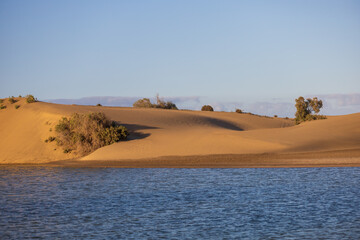 Seascape and dunes at Faro de Maspalomas on Gran Canaria, Spain