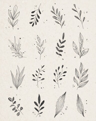 Fototapeta premium hand-drawn boho botanical leaves on cream paper background