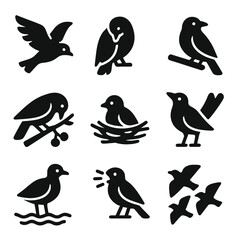 Obraz premium Bird Behavior Icons. Solid style icons of bird behavior and activity: flying motion, preening bird, perched stance, feeding from