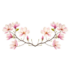 Obraz premium Symmetrical Pink Magnolia Blossom Arrangement on Black Background