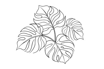 Tropical Leaves Hand Drawn Illustration