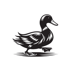 Duck Vector (4).eps