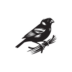 Finch Vector (3).eps