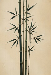 Serene Bamboo Stalks Gently Overlap On A Calming Beige Backdrop, Minimal Design Offers Tranquility, Nature's Peaceful Elegance. Perfect For Backgrounds, Textures, And Calming Visuals.