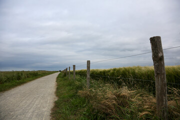 Dirt road next to wheat fields separated by a barbed wire fence on the Atlantic coast of France