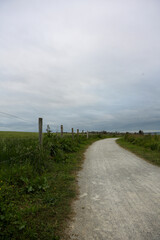 Dirt road next to wheat fields separated by a barbed wire fence on the Atlantic coast of France