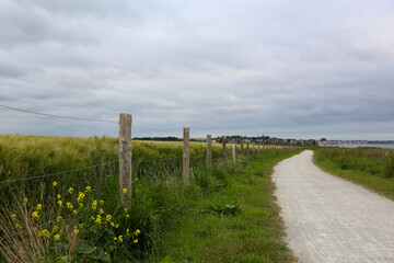 Dirt road next to wheat fields separated by a barbed wire fence on the Atlantic coast of France