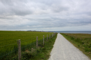 Dirt road next to wheat fields separated by a barbed wire fence on the Atlantic coast of France