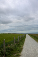 Dirt road next to wheat fields separated by a barbed wire fence on the Atlantic coast of France
