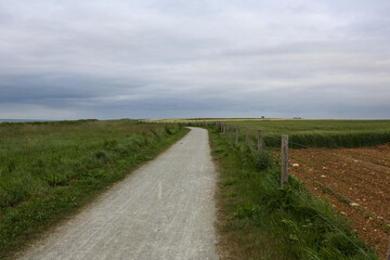 Dirt road next to wheat fields separated by a barbed wire fence on the Atlantic coast of France