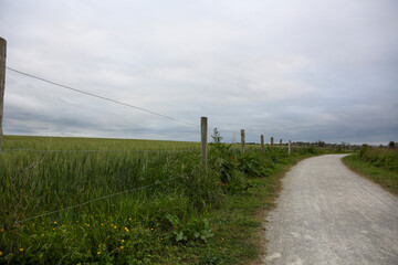 Dirt road next to wheat fields separated by a barbed wire fence on the Atlantic coast of France
