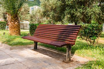 Green wooden bench in sunny park. Public space, relaxation area, and outdoor urban furniture