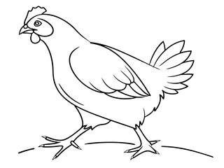 Obraz premium Chicken Bird Illustration on White Background