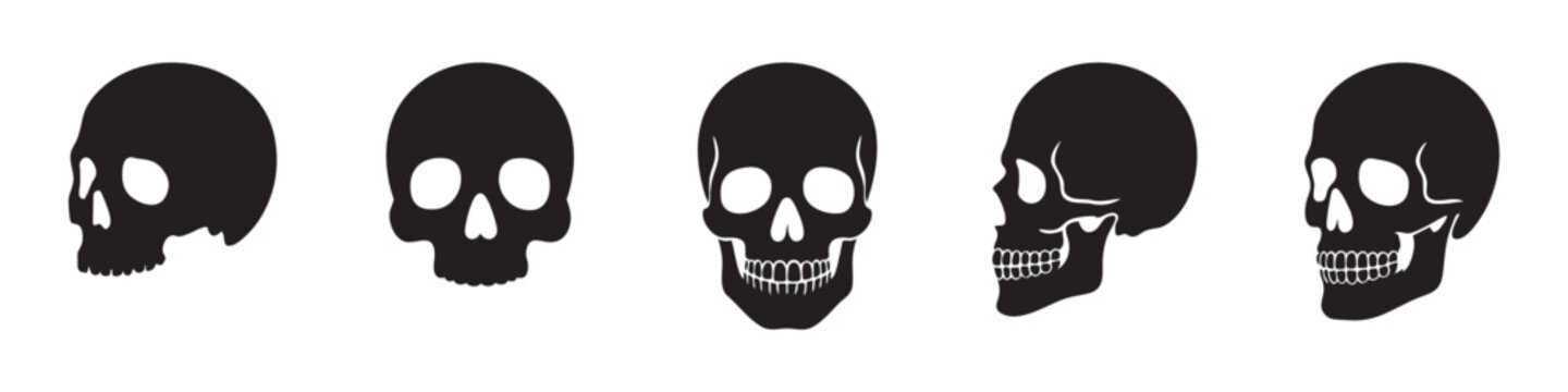 Set of human skull black silhouettes in various styles, front and side views, isolated on white background, graphic illustration. Concept of anatomy, gothic symbol, tattoo, halloween design elements