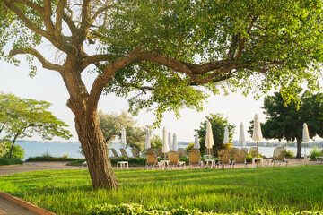 Nature-inspired wallpaper showcasing sustainable landscaped garden by the water