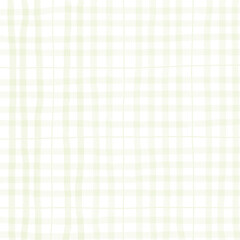 Sage Green Plaid Gingham Madras Check Hand Drawn Background Pattern Overlay